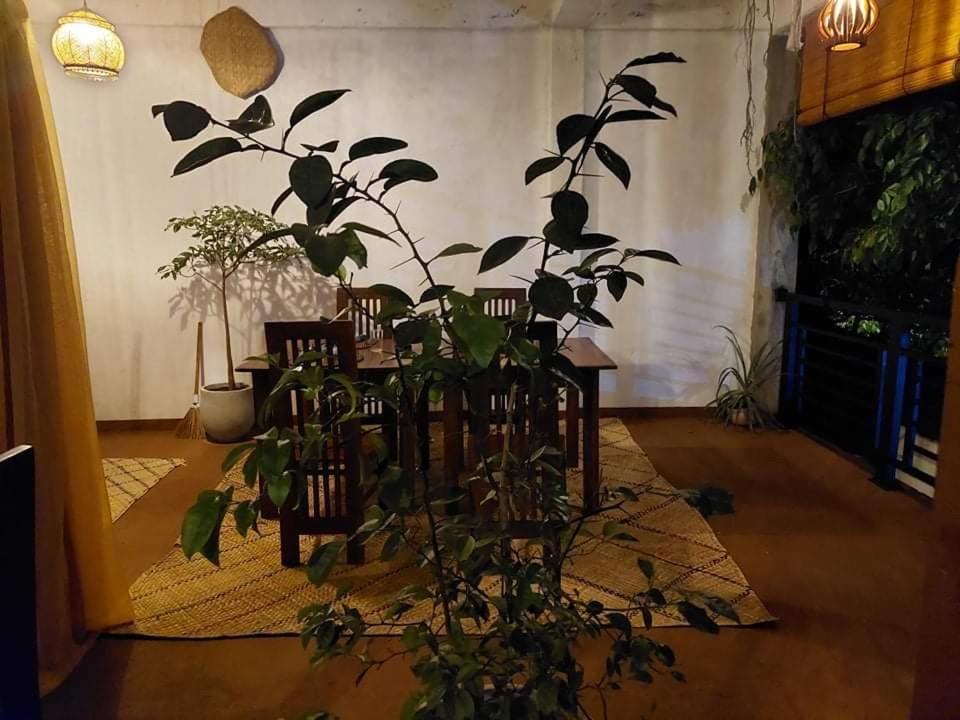 Kingcity Resort Anuradhapura Ngoại thất bức ảnh